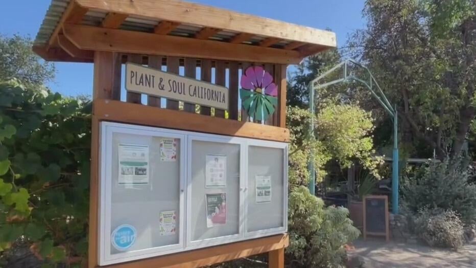 San Jose community garden told to leave as land is sold to developer — CBS Bay Area (KPIX), Hillsborough Real Estate news