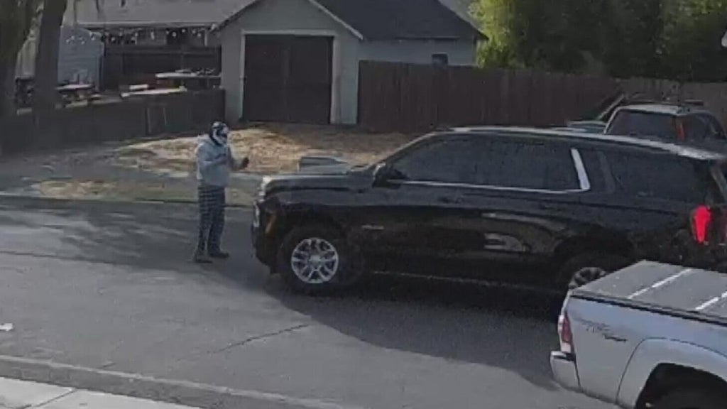 Woodland police dispute DHS account of ICE agent's collision with pedestrian — CBS Bay Area (KPIX), Hillsborough Health news