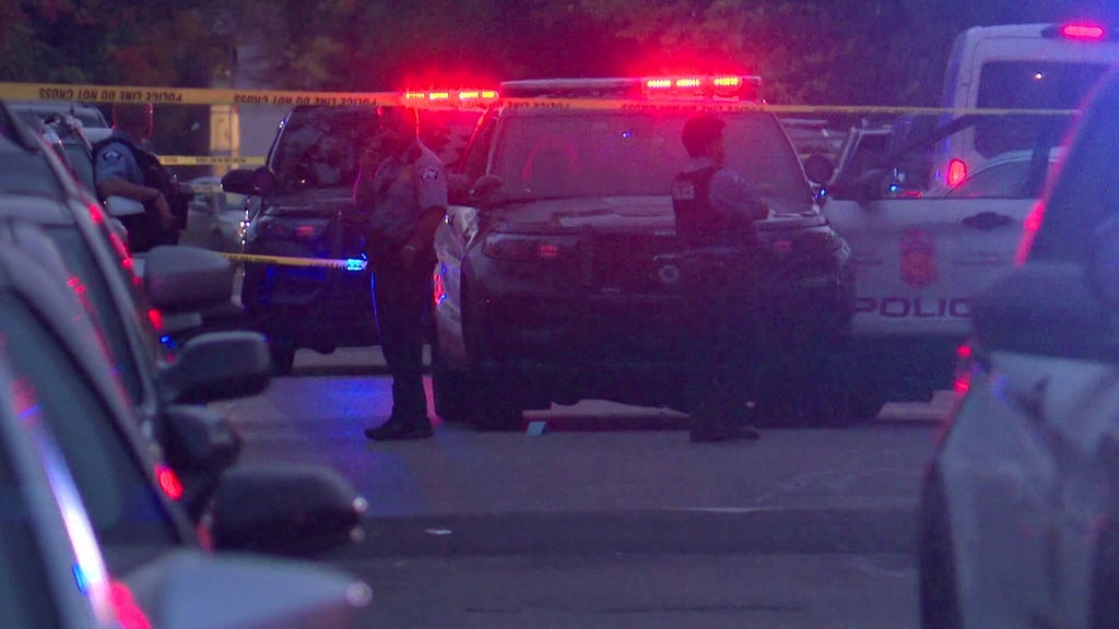 Minneapolis officer fires gun when armed teen carjacker hits squad in stolen car, police say — WCCO / CBS Minnesota, Hillsborough Health news