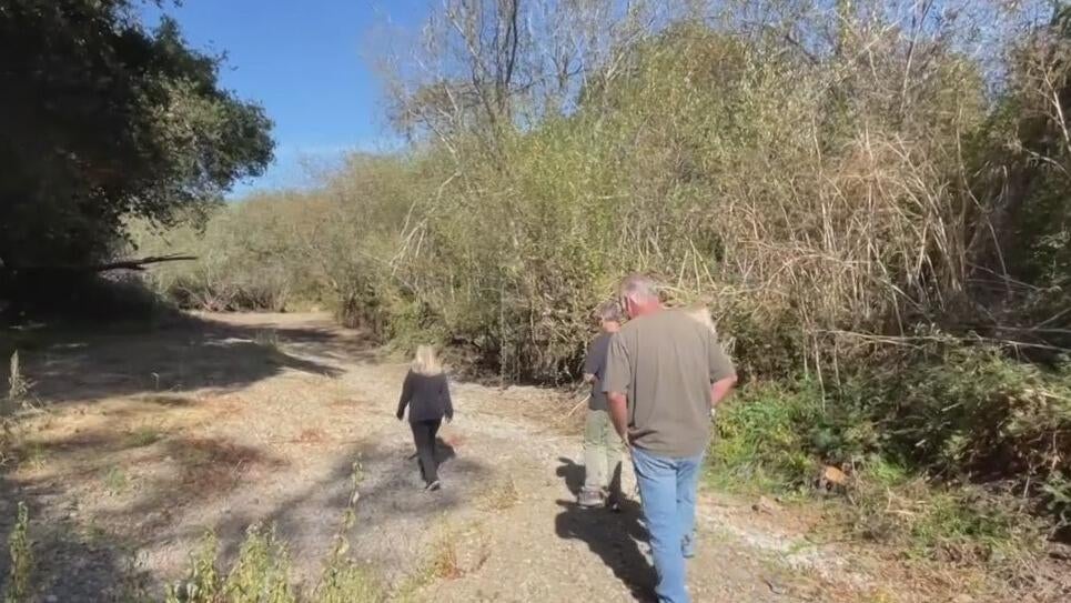 Marin County residents worried town will flood if creek isn't dredged — CBS Bay Area (KPIX), Hillsborough Real Estate news