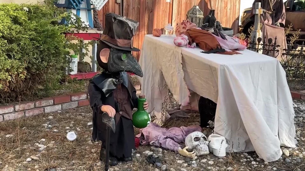 Halloween decorations worth roughly $700 stolen from San Leandro home — CBS Bay Area (KPIX), Hillsborough Schools news