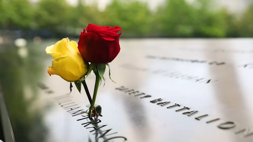Second 9/11 victim identified with breakthrough genetic genealogy, NYC officials say
       — ABC 7 Bay Area, Hillsborough Community news