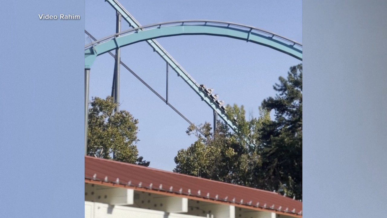 Eyewitnesses describe rider's harrowing fall in fatal Six Flags roller coaster incident
— ABC 7 Bay Area