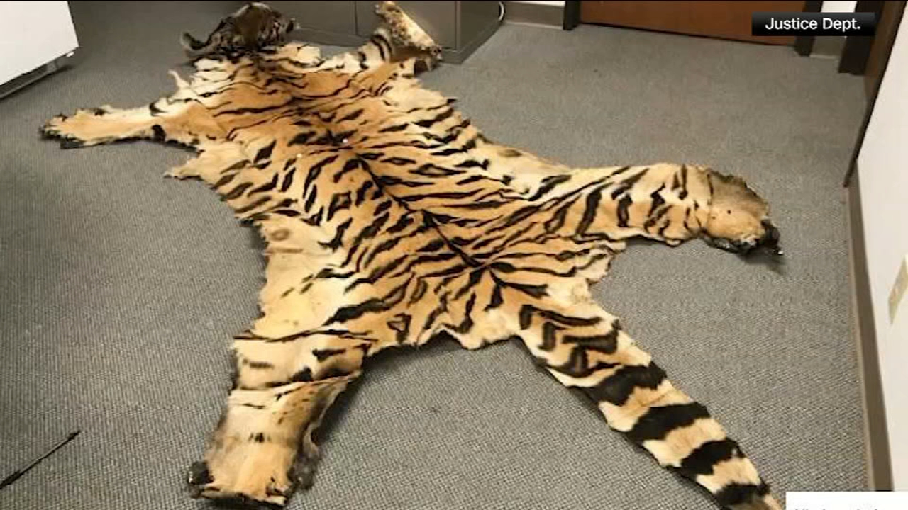 California couple pleads guilty to trafficking wildlife
       — Hillsborough Community news