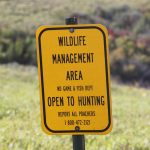 Pointers for Public Land Hunting — NewsDakota, Hillsborough Sports news