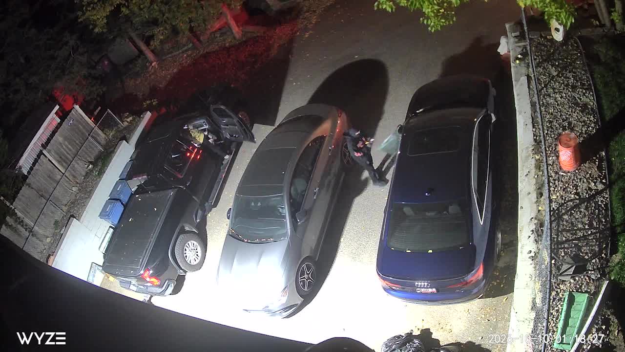 Juvenile window-smashing suspects caught on camera in south Minneapolis — KSTP 5, Hillsborough Real Estate news
