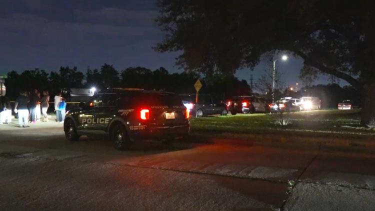HPD: Man dies after going for swim in Sims Bayou in southeast Houston — KHOU 11 (Houston), Hillsborough Sports news