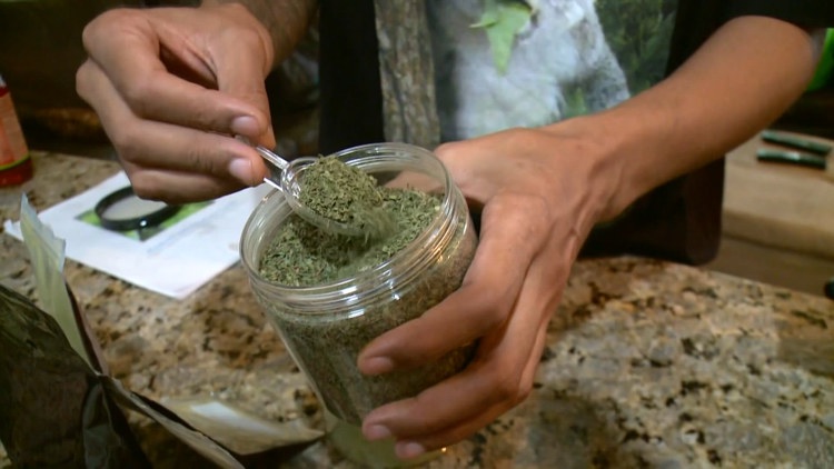 Hillsborough County considers restrictions on kratom products as families describe losing loved ones — WTSP 10 Tampa Bay, Hillsborough Government news