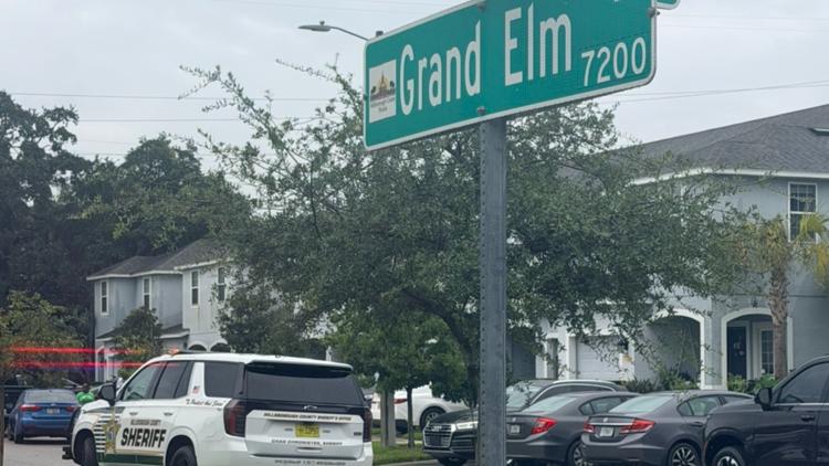 5-year-old boy with autism found dead in retention pond in Riverview: HCSO — WTSP Hillsborough County, Hillsborough Community news