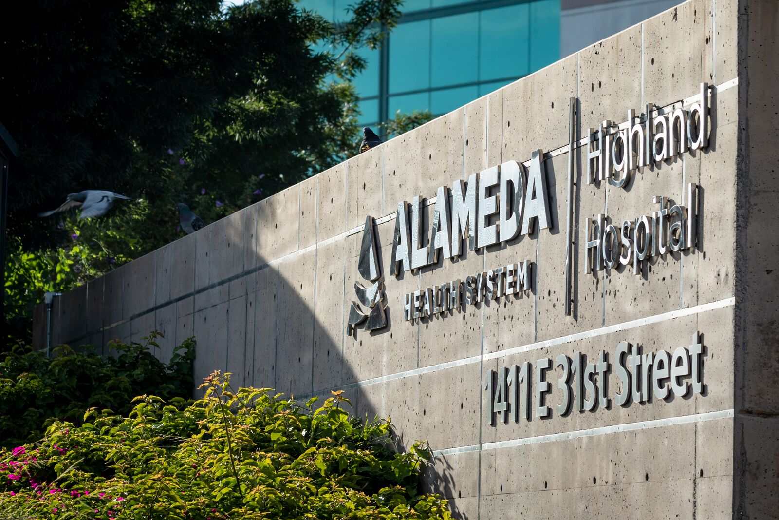 ICE showed no warrant when they took Highland Hospital patient, officials say — The Oaklandside