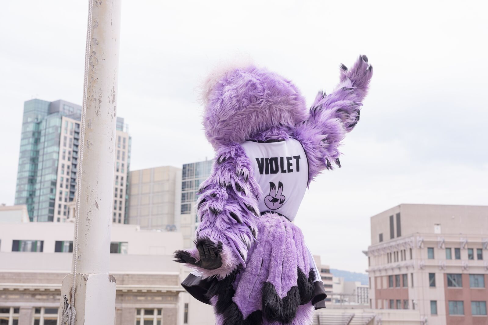 This week in Oakland: an outdoor Valkyries watch party, and singersongwriter Laura Anglade at Yoshi’s — The Oaklandside, Hillsborough Arts news