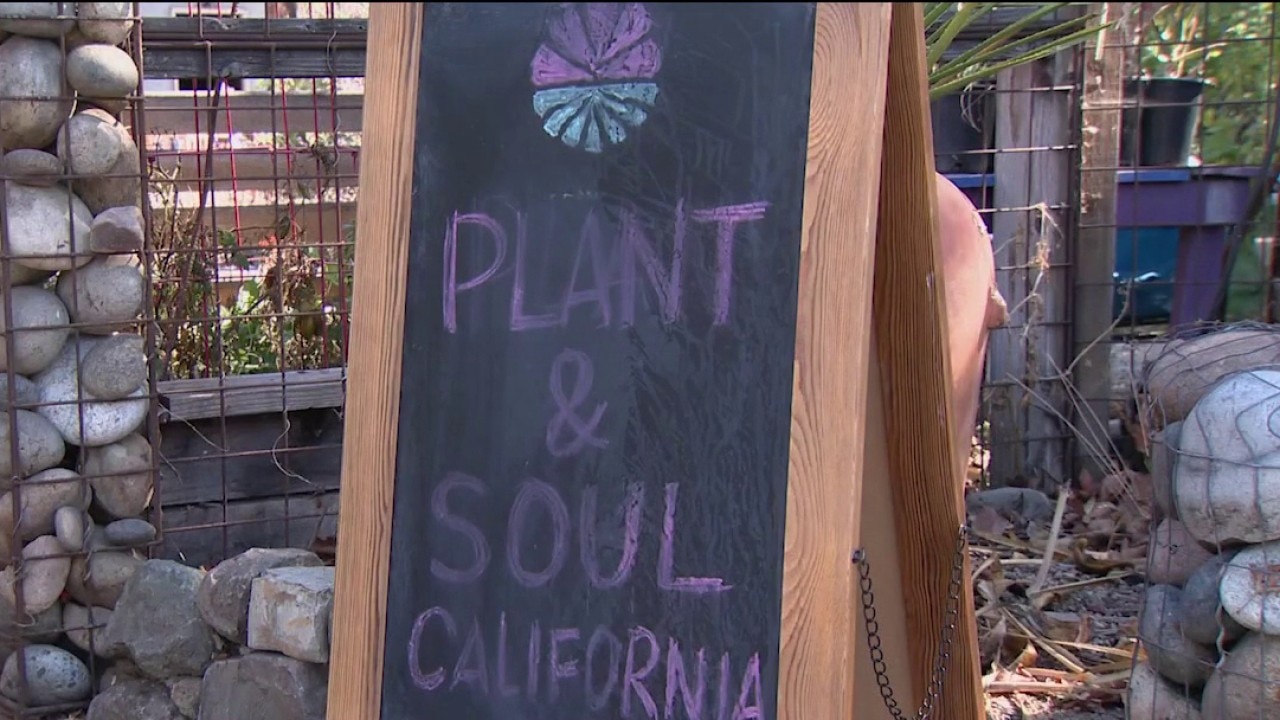 San Jose community garden faces possible eviction — KTVU FOX 2 Bay Area, Hillsborough Schools news