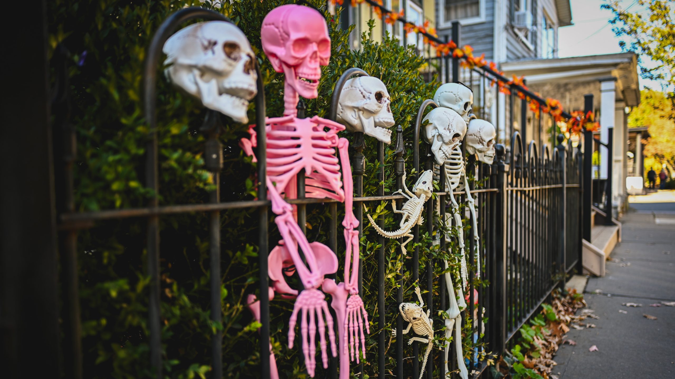 America's best cities for Halloween, ranked — KTVU FOX 2 Bay Area, Hillsborough Community news